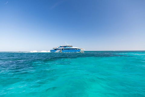 Rottnest Island Bike & Ferry Package From Fremantle - Sunshine Coast Tourism 0