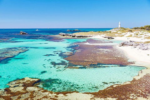 Rottnest Island Bike, Snorkel & Ferry Package From Fremantle - Holiday Sunshine Coast 4