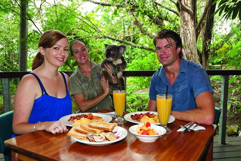 Breakfast With The Koalas At Hartley's Crocodile Park From Cairns Or Palm Cove - Sunshine Coast Tourism 0