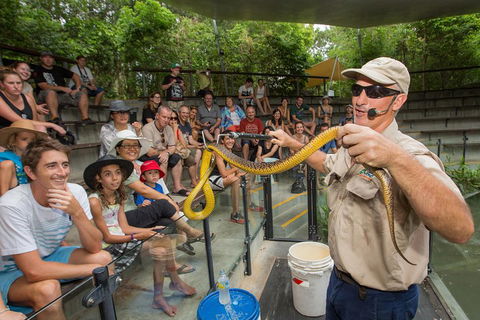 Breakfast With The Koalas At Hartley's Crocodile Park From Cairns Or Palm Cove - Sunshine Coast Tourism 2