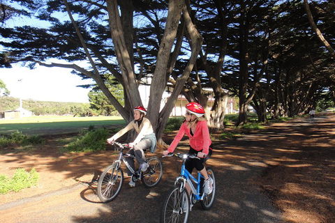 Self-Guided Point Nepean National Park Bike Hire - Sunshine Coast Tourism 2