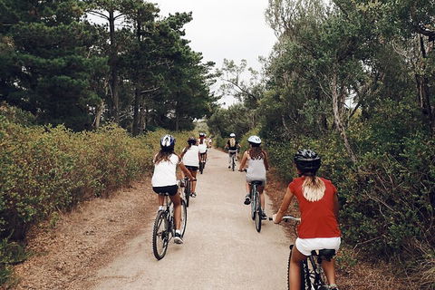 Self-Guided Point Nepean National Park Bike Hire - Sunshine Coast Tourism 3