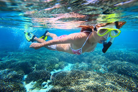 Abrolhos Islands Scenic Flight & Snorkel Adventure From Perth - Holiday Sunshine Coast 1