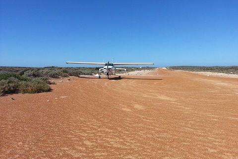Abrolhos Islands Scenic Flight & Snorkel Adventure From Perth - Holiday Sunshine Coast 3