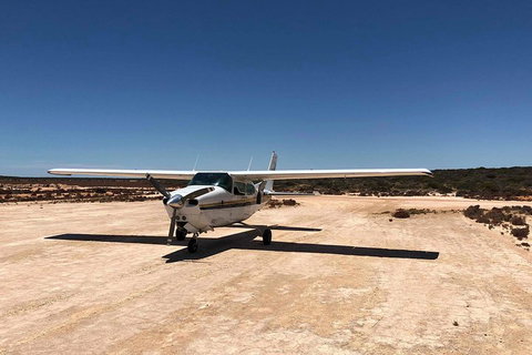 Kalbarri Gorges & West Coast - Ground & Air Tour - Sunshine Coast Tourism 4