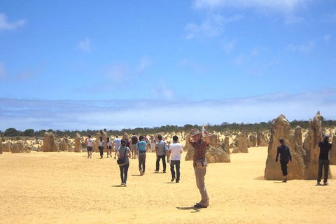 Pinnacles & Rottnest Island Scenic Air & Ground Tour - Holiday Sunshine Coast 3