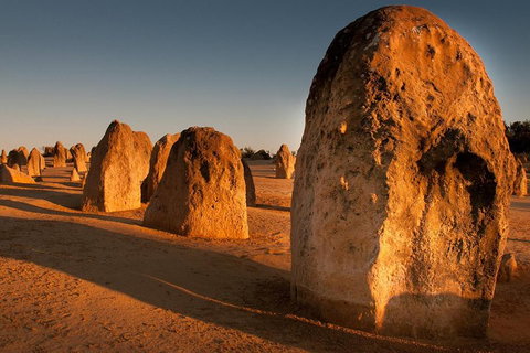 Pinnacles & Rottnest Island Scenic Air & Ground Tour - Holiday Sunshine Coast 4