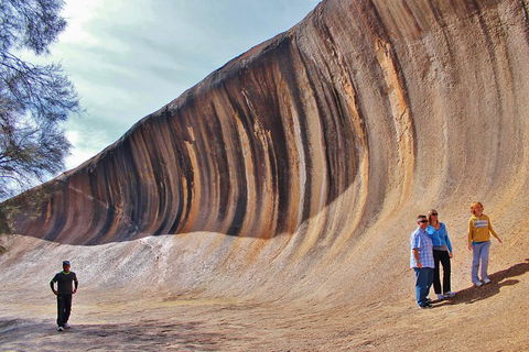 Wave Rock & Rottnest Island - Air & Ground Tour - Sunshine Coast Tourism 2