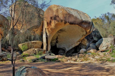 Wave Rock & Rottnest Island - Air & Ground Tour - Sunshine Coast Tourism 4