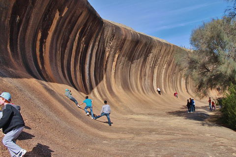 Wave Rock Half Day Air & Ground Tour - Sunshine Coast Tourism 2