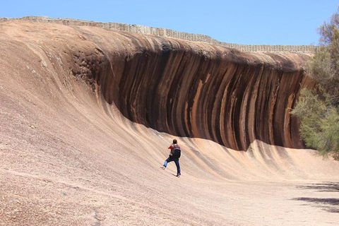 Wave Rock Half Day Air & Ground Tour - Sunshine Coast Tourism 3