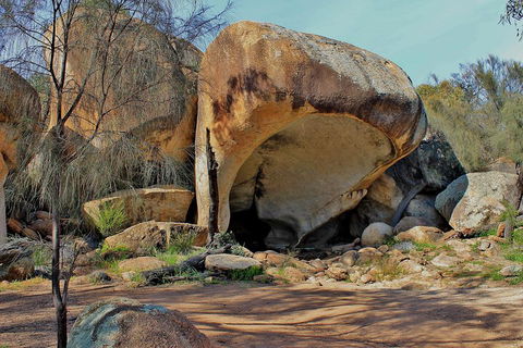 Wave Rock And Pinnacles Air & Ground Tour - Holiday Sunshine Coast 3