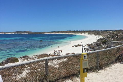 Wave Rock, Pinnacles And Rottnest One Day Aeroplane Tour - Sunshine Coast Tourism 2