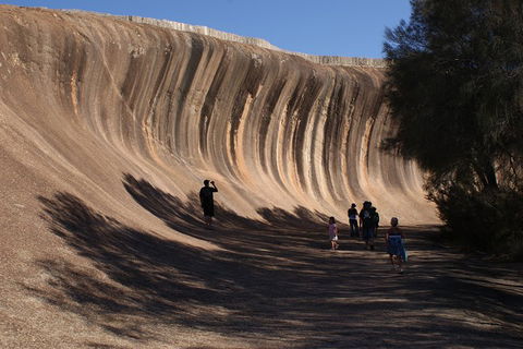 Wave Rock, Pinnacles And Rottnest One Day Aeroplane Tour - Sunshine Coast Tourism 4