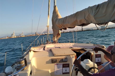 Townsville Small Group Early Morning Sailing Cruise Boat Tour Charter Hire - Sunshine Coast Tourism 3