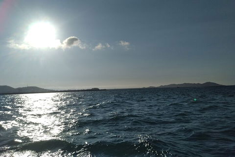Townsville Small Group Early Morning Sailing Cruise Boat Tour Charter Hire - Sunshine Coast Tourism 4