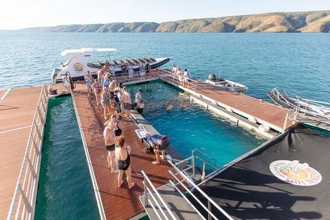 Horizontal Falls Half-Day Tour From Broome - Sunshine Coast Tourism 3