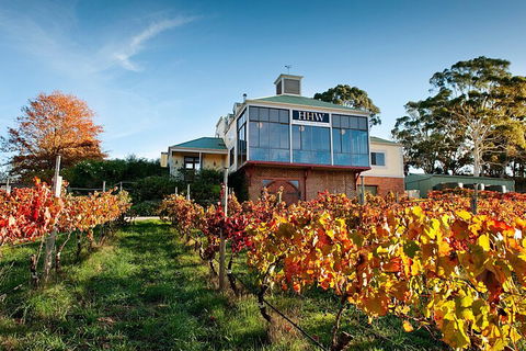 Adelaide Hills Food, Wine, Cheese, & Chocolate - Private Day Tour - Sunshine Coast Tourism 3