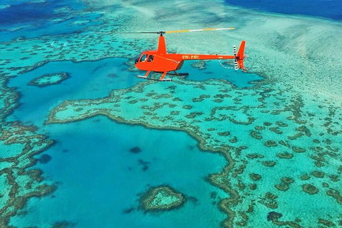 Reef & Whitehaven Landing - Sunshine Coast Tourism 4