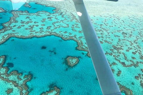 Whitsunday Islands 1-Hour Reef Scenic Helicopter Tour - Holiday Sunshine Coast 3