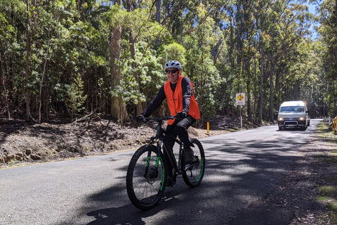 Mount Wellington Descent Cycling Tour Departs Hobart - Sunshine Coast Tourism 3