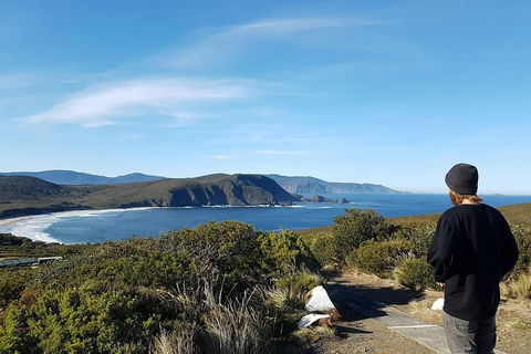Small-Group Day Trip From Hobart To Bruny Island - Sunshine Coast Tourism 0