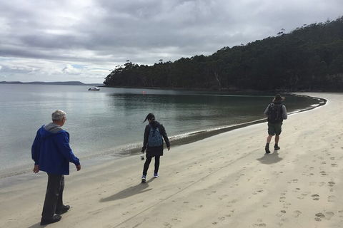 Small-Group Day Trip From Hobart To Bruny Island - Sunshine Coast Tourism 1