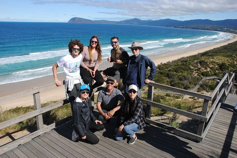 Small-Group Day Trip From Hobart To Bruny Island - Sunshine Coast Tourism 4