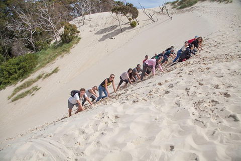 6-Day Tasmanian Explorer Adventure Tour From Hobart - Sunshine Coast Tourism 2
