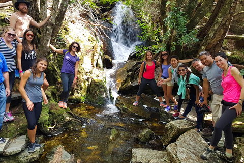 7-Day Super Value Tour Of Tasmania: Explore Tasmania's West And East Coasts - Holiday Sunshine Coast 2