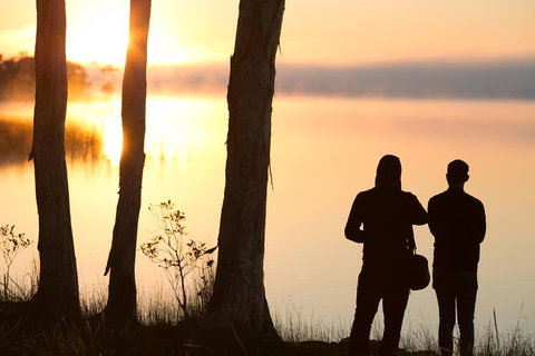 Serenity Cruise To Australia's Everglades - Holiday Sunshine Coast 5