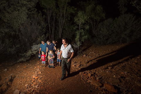 Alice Springs Desert Park Nocturnal Tour - Holiday Sunshine Coast 0