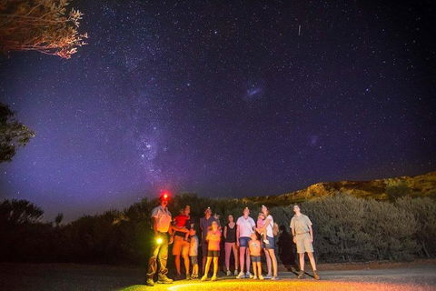 Alice Springs Desert Park Nocturnal Tour - Holiday Sunshine Coast 2