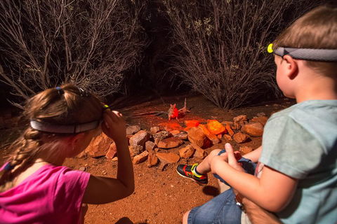 Alice Springs Desert Park Nocturnal Tour - Holiday Sunshine Coast 4