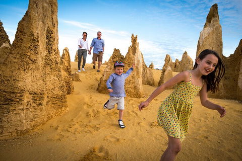 Full-Day Pinnacles Desert And Yanchep National Park Tour From Perth - Sunshine Coast Tourism 0