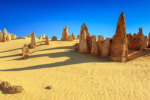 Full-Day Pinnacles Desert And Yanchep National Park Tour From Perth - Sunshine Coast Tourism 2