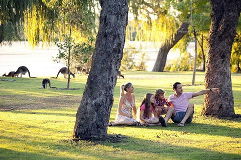 Full-Day Pinnacles Desert And Yanchep National Park Tour From Perth - Sunshine Coast Tourism 3