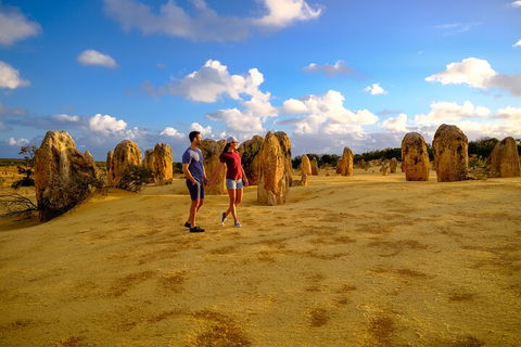Full-Day Pinnacles Desert And Yanchep National Park Tour From Perth - Sunshine Coast Tourism 4