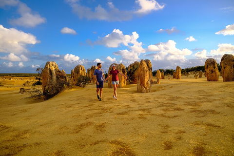 Half Day Pinnacles Sunset Tour - Sunshine Coast Tourism 1