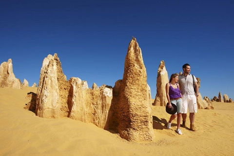 Half Day Pinnacles Sunset Tour - Sunshine Coast Tourism 4