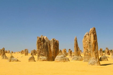 Half Day Pinnacles Sunset Tour - Sunshine Coast Tourism 5