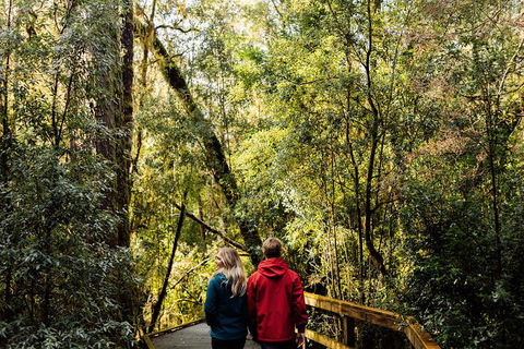 Gordon River Cruise Departing From Strahan - Holiday Sunshine Coast 2