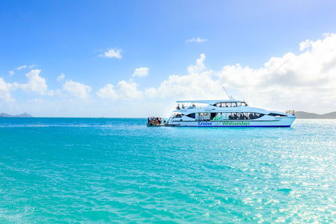 Whitehaven Beach And Daydream Island Cruise - Sunshine Coast Tourism 2