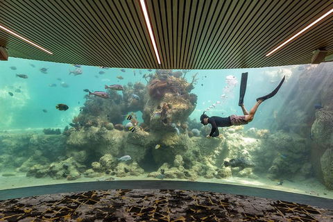 Whitehaven Beach And Daydream Island Cruise - Sunshine Coast Tourism 4
