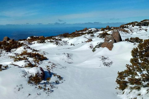 Mount Wellington Ultimate Experience Tour From Hobart - Sunshine Coast Tourism 1