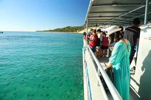 Adventure Moreton Island Wrecks Adventure Package - Holiday Sunshine Coast 1