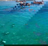 Adventure Moreton Island Scuba Dive Tour - Sunshine Coast Tourism