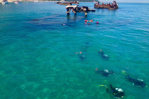 Adventure Moreton Island Scuba Dive Tour - Sunshine Coast Tourism 0