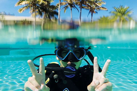 Adventure Moreton Island Scuba Dive Tour - Sunshine Coast Tourism 2