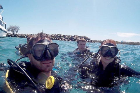 Wave Break Island Scuba Diving On The Gold Coast - Holiday Sunshine Coast 0